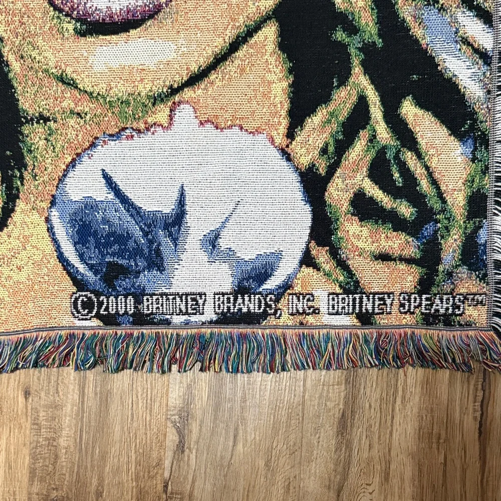 Britney Spears Y2K Blanket